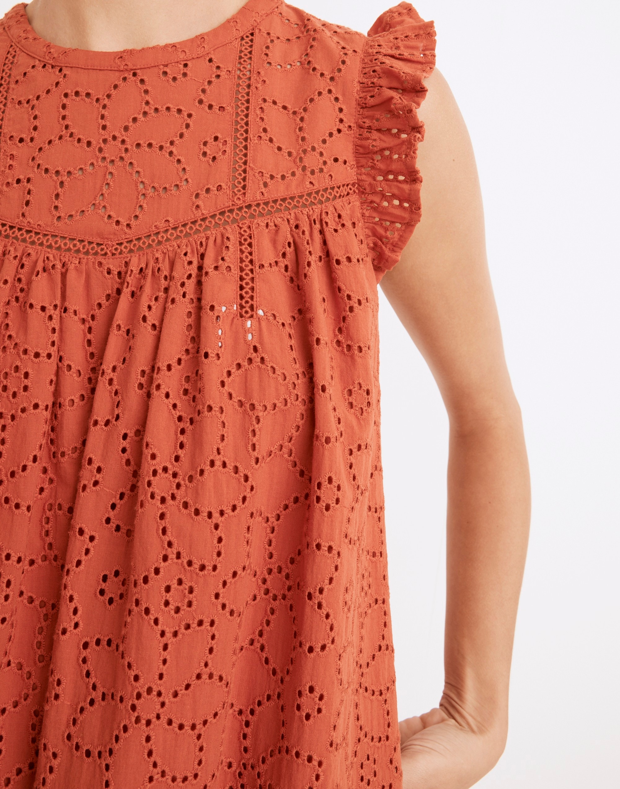 Eyelet Ruffle-Sleeve Pintuck Mini Dress | Madewell