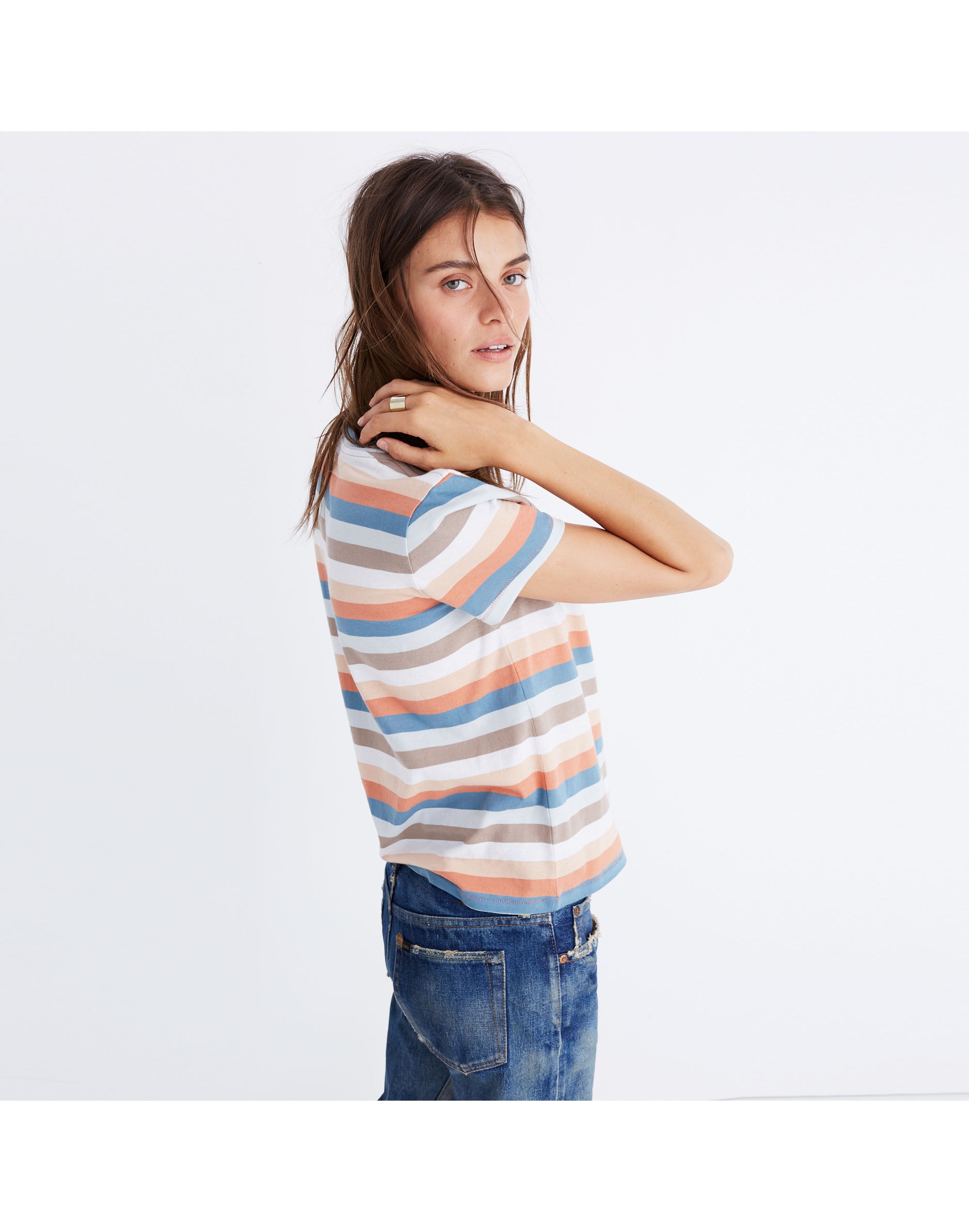 Embroidered Rainbow Striped Tee | Madewell