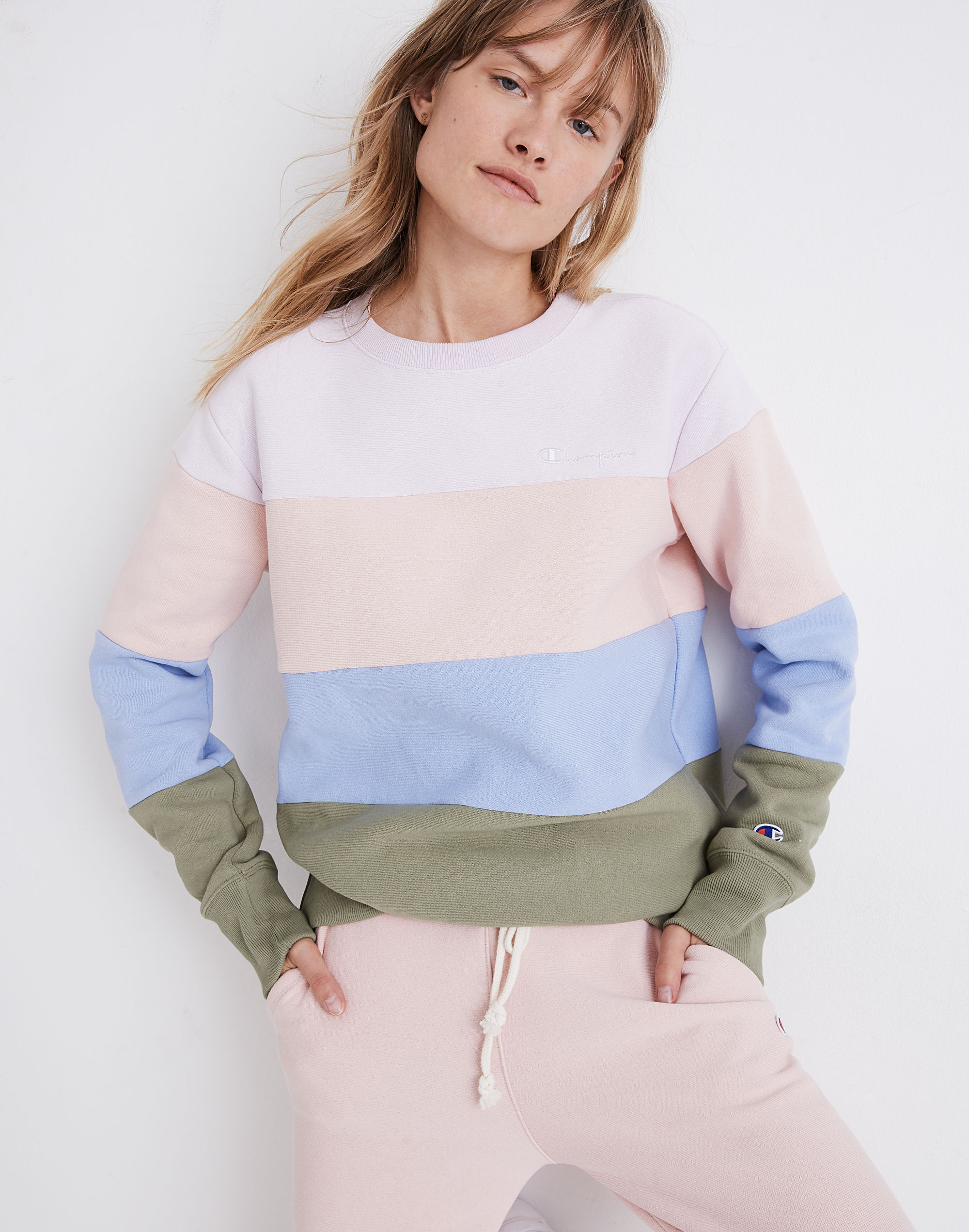 Pastel hotsell champion sweater