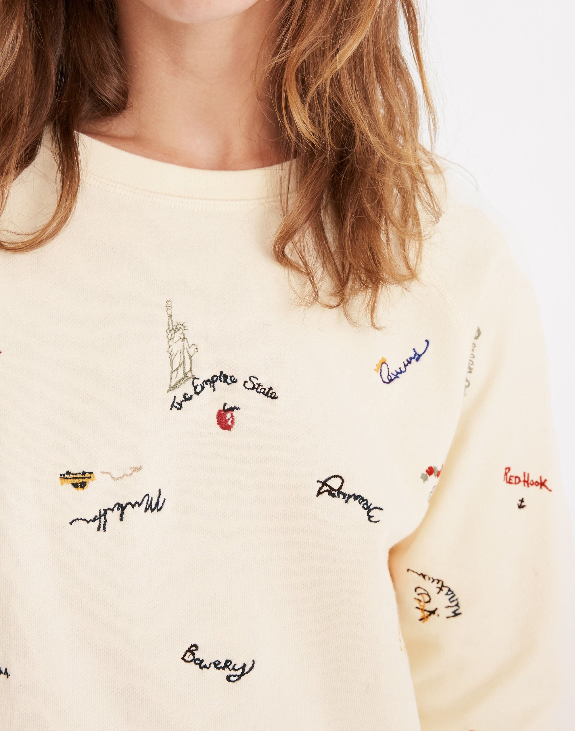 Madewell embroidered sale sweatshirt