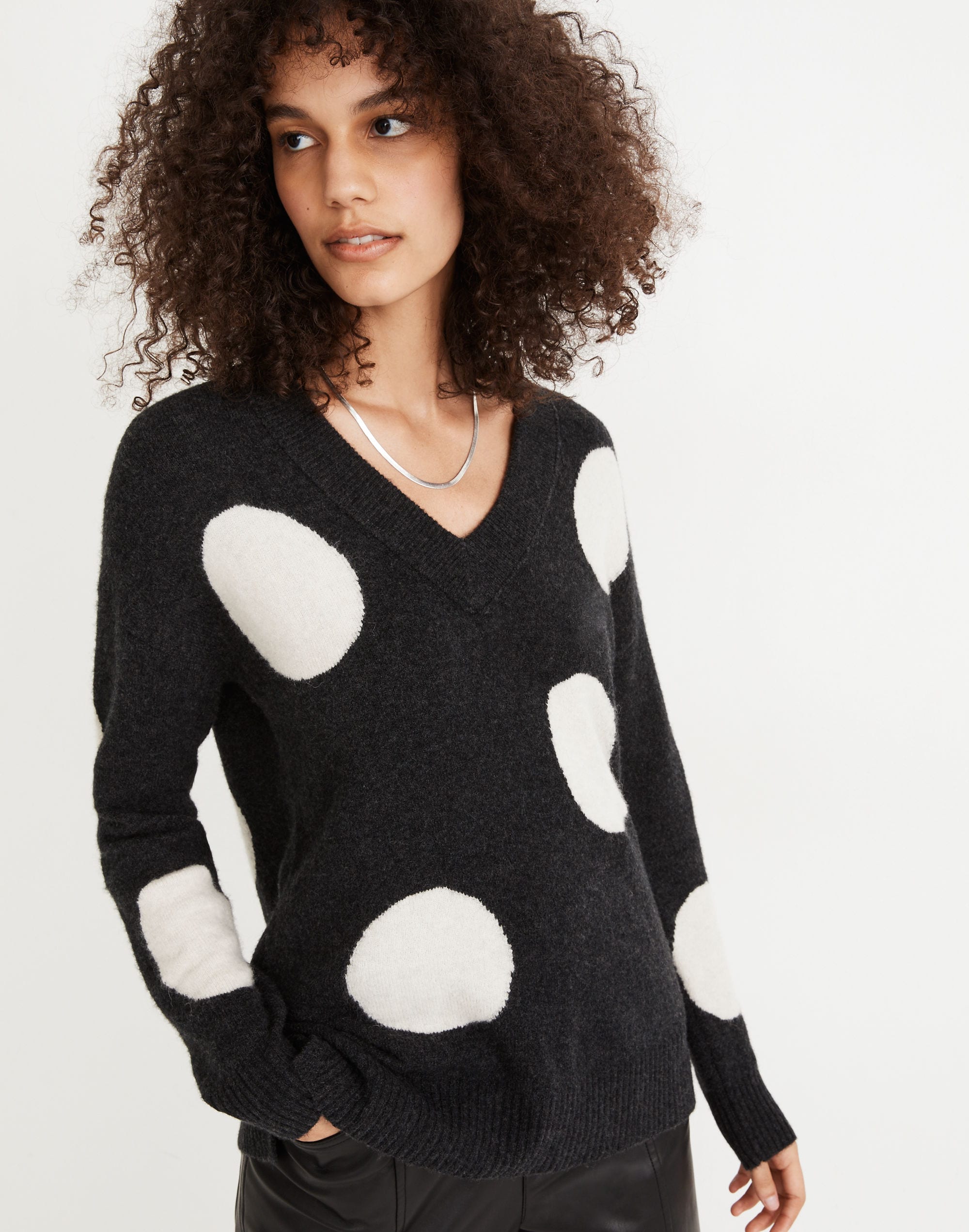 Dotted Bartlett V-Neck Pullover Sweater Coziest Yarn | Madewell