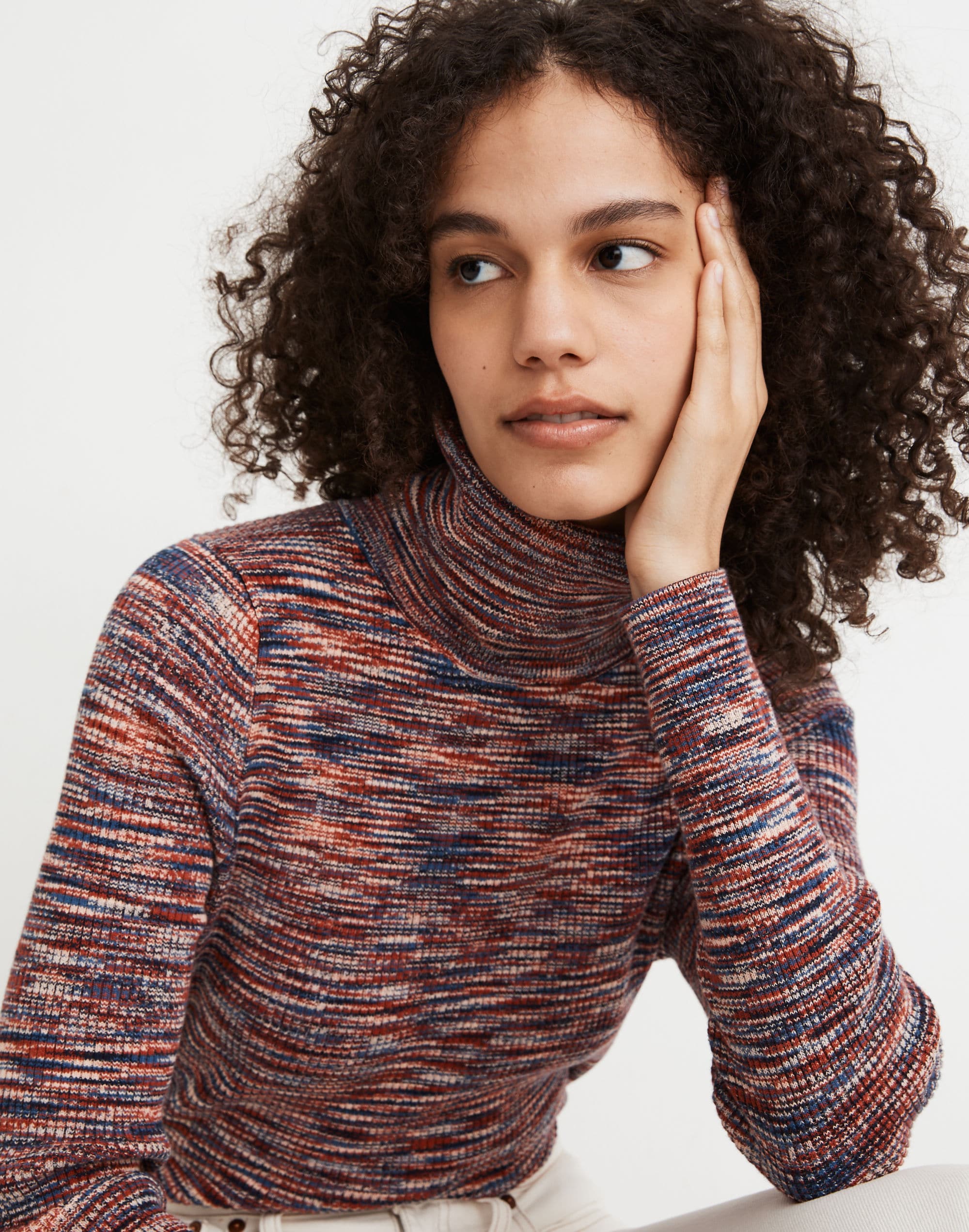 Space-Dye Robeson Turtleneck Sweater | Madewell