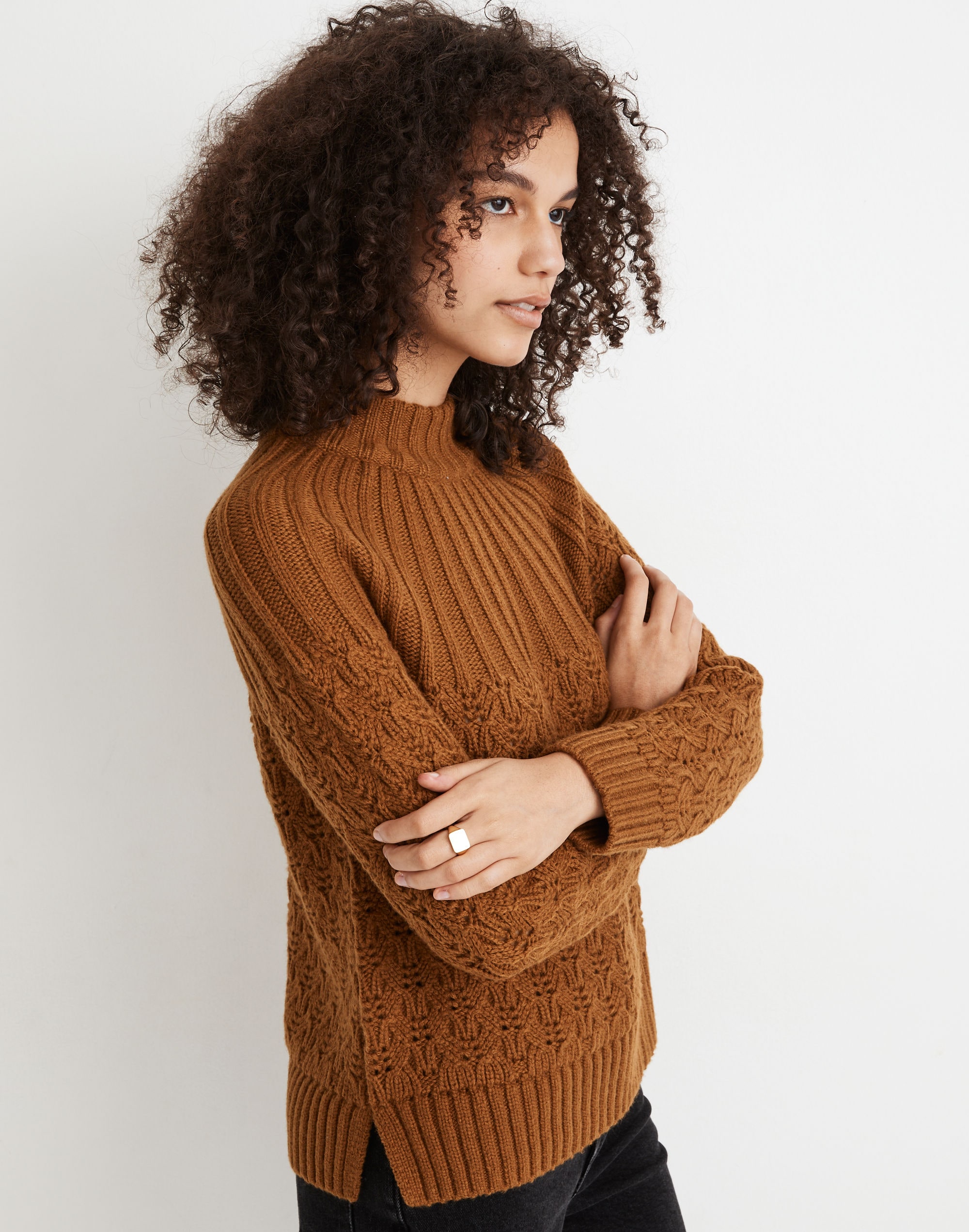 Pointelle Stitch-Mix Mockneck Sweater | Madewell