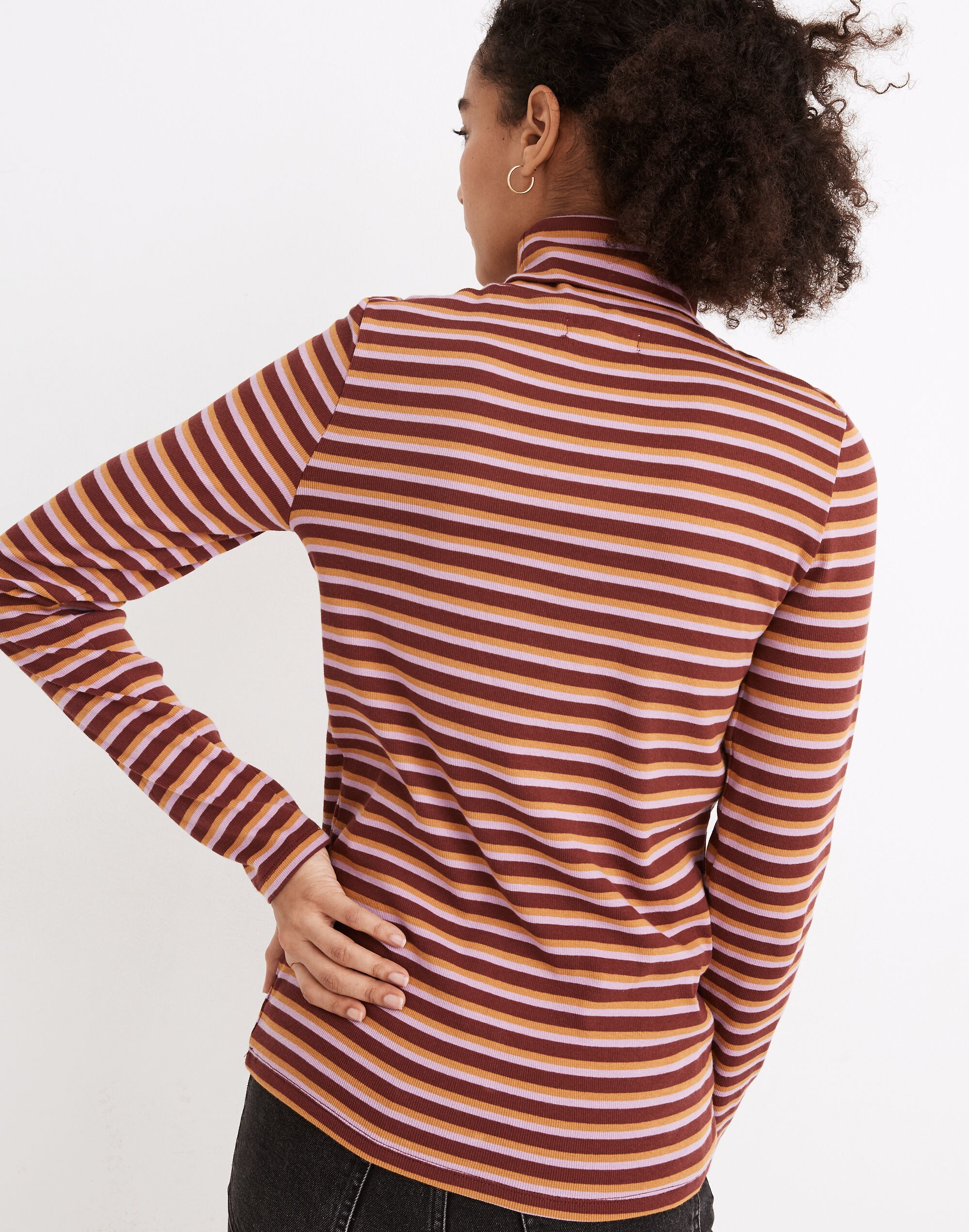 Ribbed Turtleneck Top in Chilton Stripe | Madewell