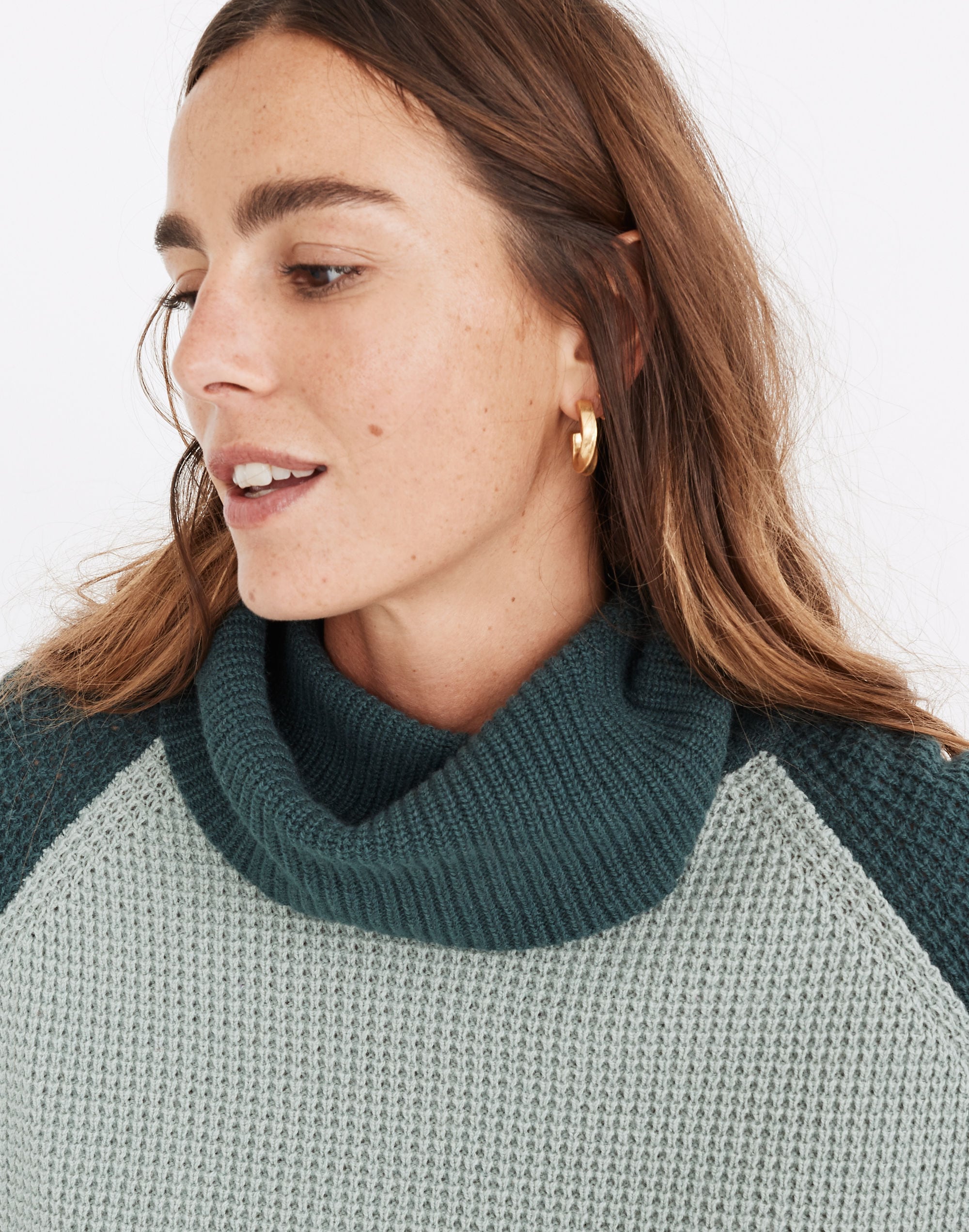 Colorblock Eastbrook Turtleneck Cross-Back Sweater Cotton-Merino Yarn | Madewell