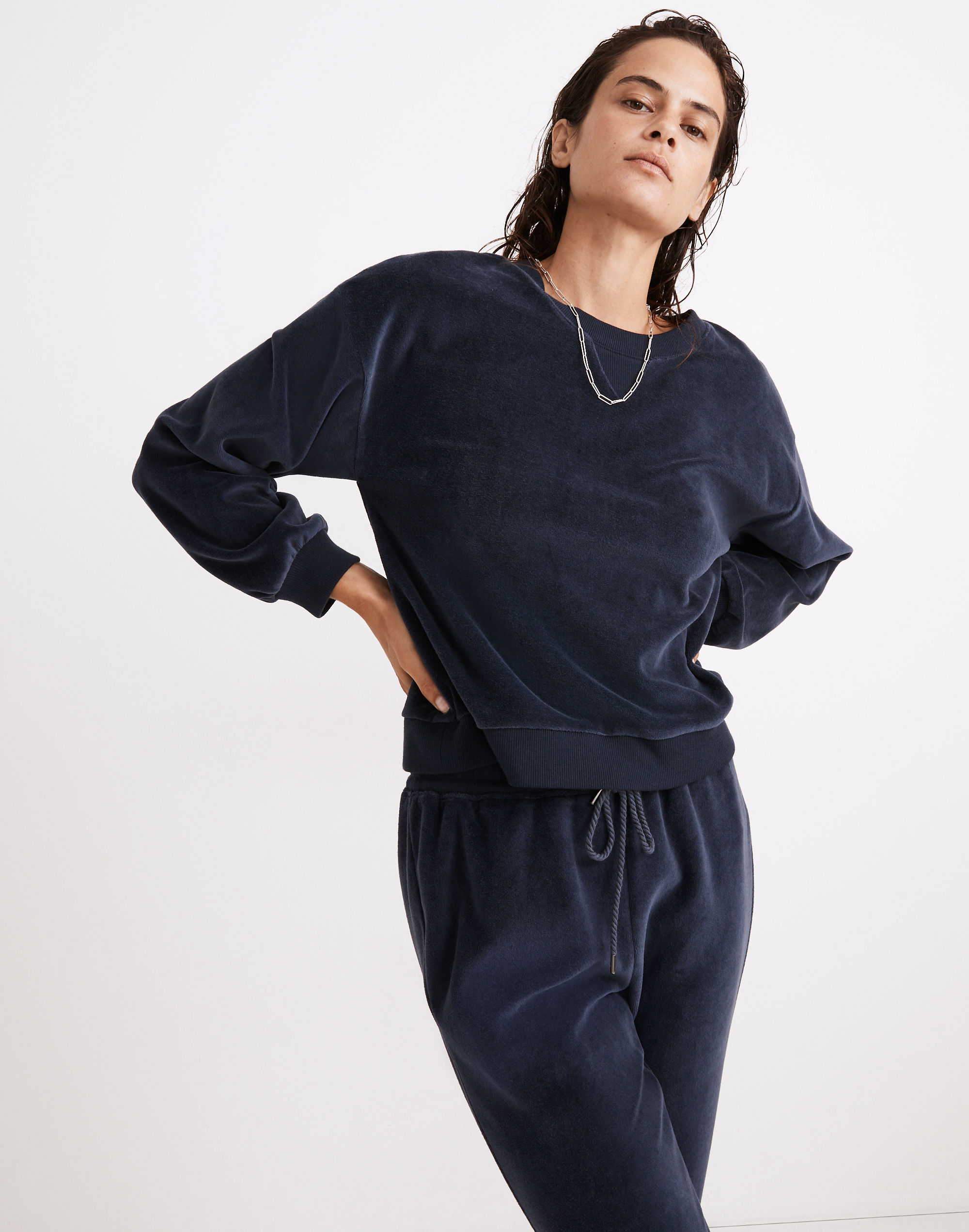 MWL Velour Crewneck Sweatshirt | Madewell