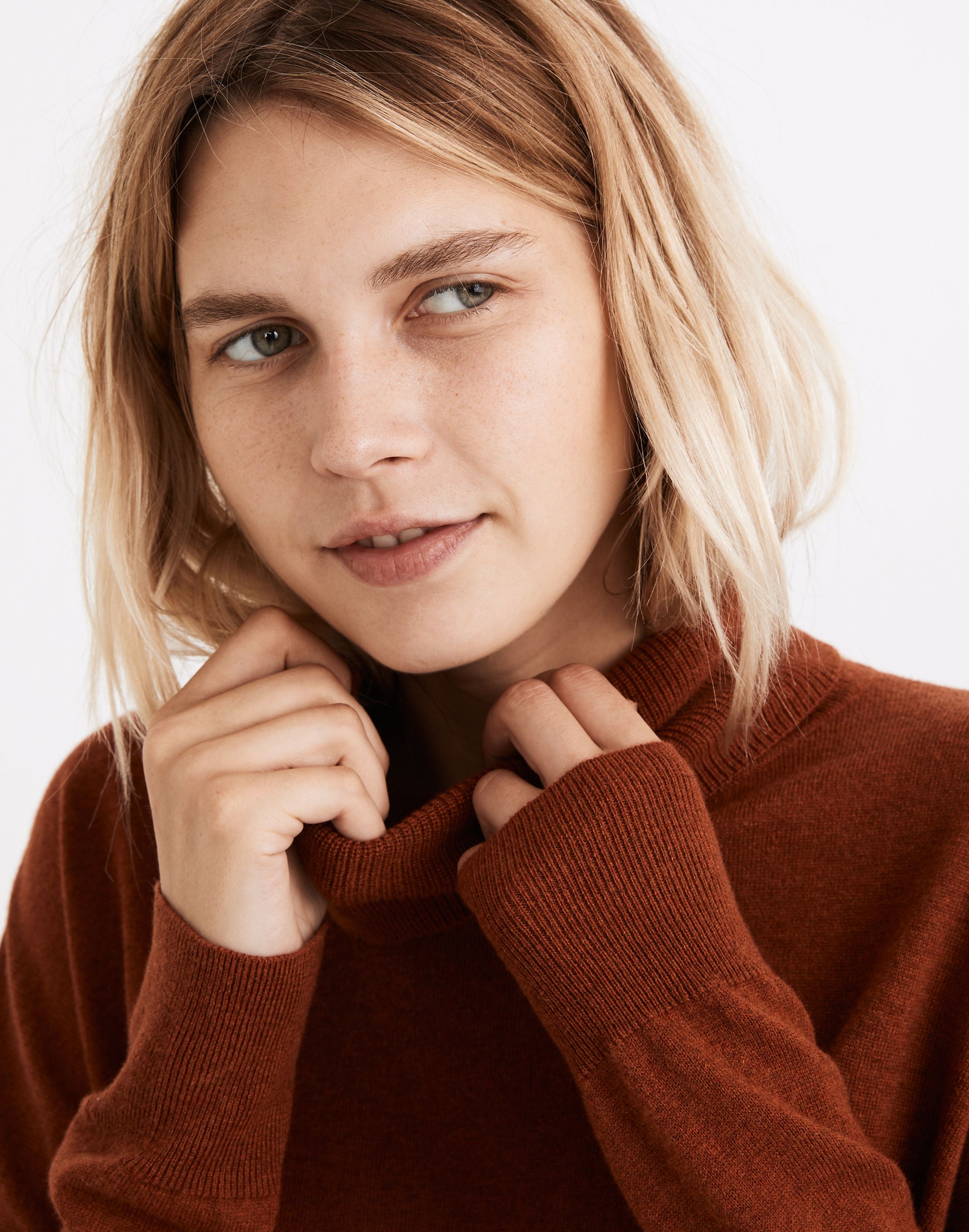 Brookhaven Turtleneck Sweater | Madewell