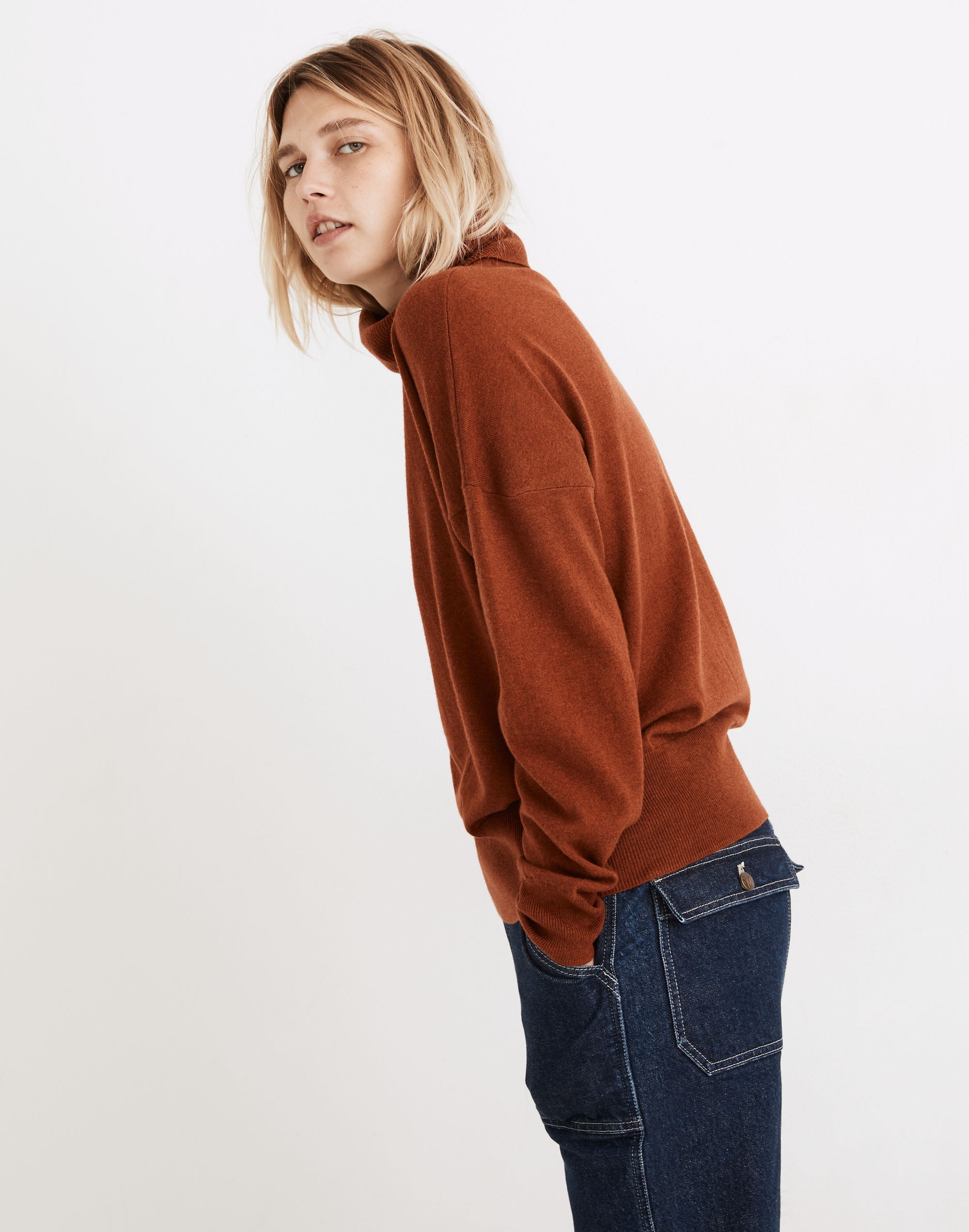 Brookhaven Turtleneck Sweater | Madewell