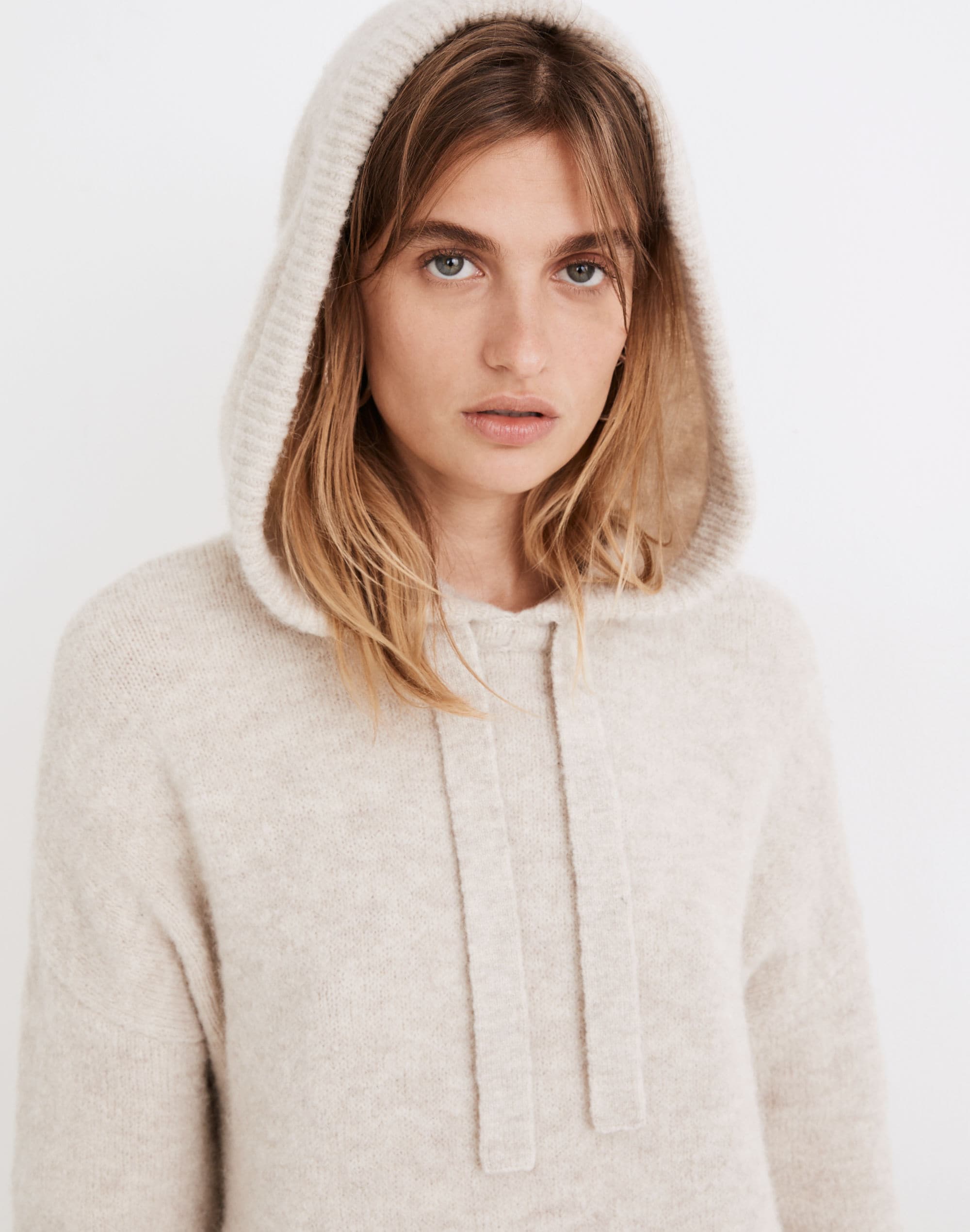 Wilmington Hoodie Sweater | Madewell