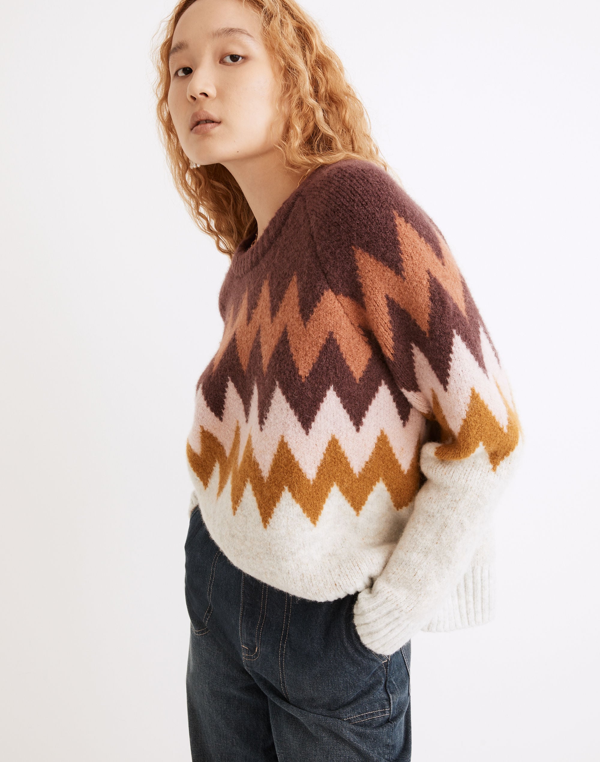 Delwood Fair Isle Pullover Sweater | Madewell