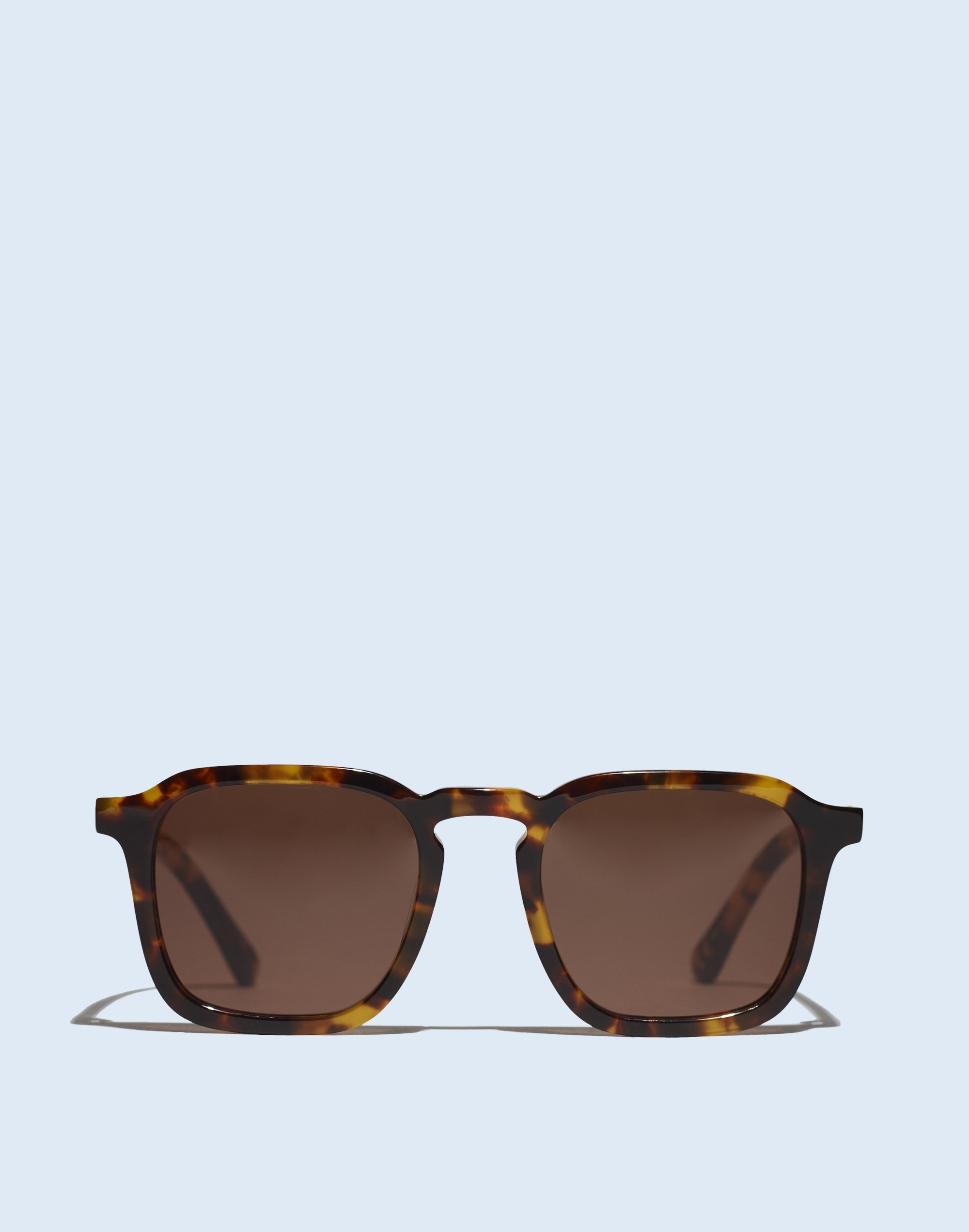 Ralston Sunglasses | Madewell