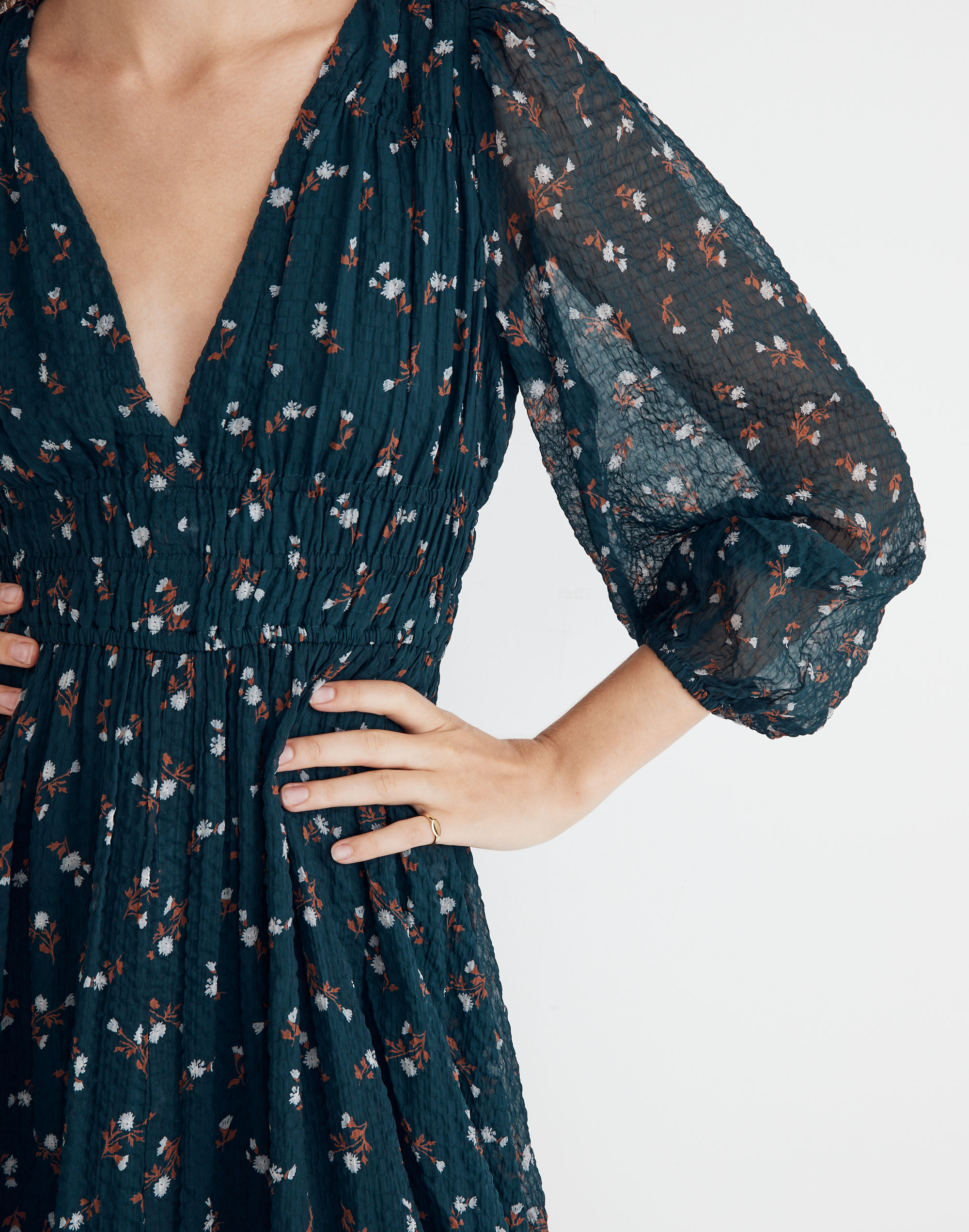 Seersucker Sophia Midi Dress Woodland Floral | Madewell