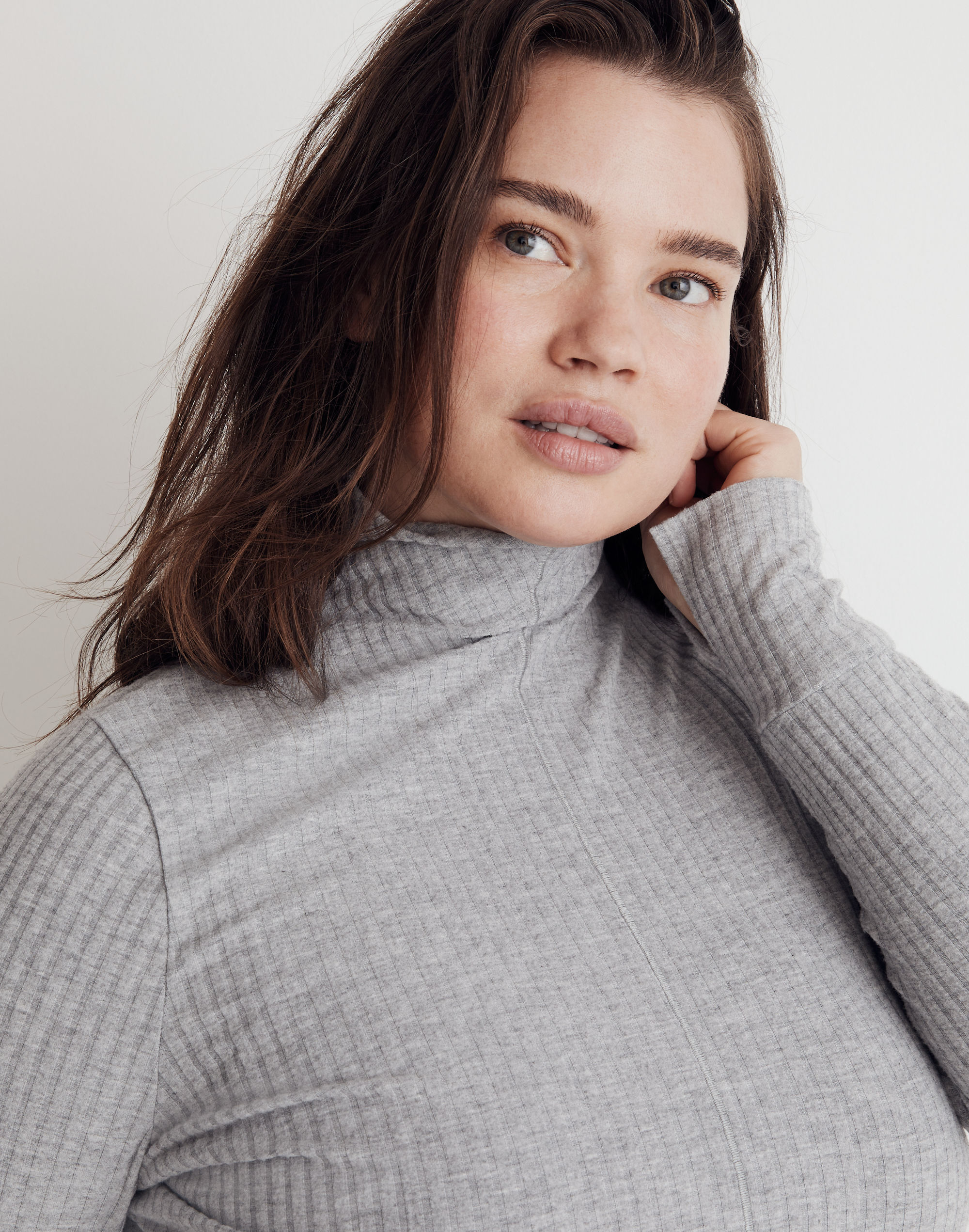 Plus MWL Brushed Rib Long-Sleeve Turtleneck Top | Madewell