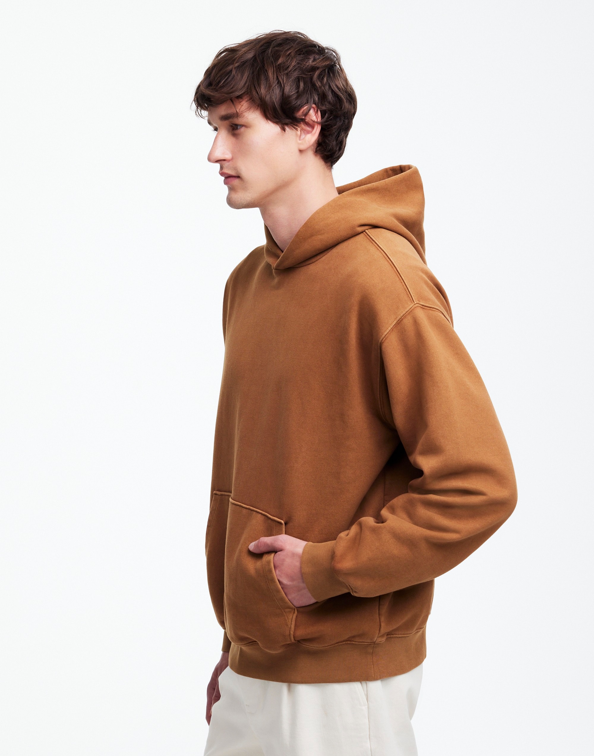 The McCarren Midweight Hoodie Sweatshirt | Madewell