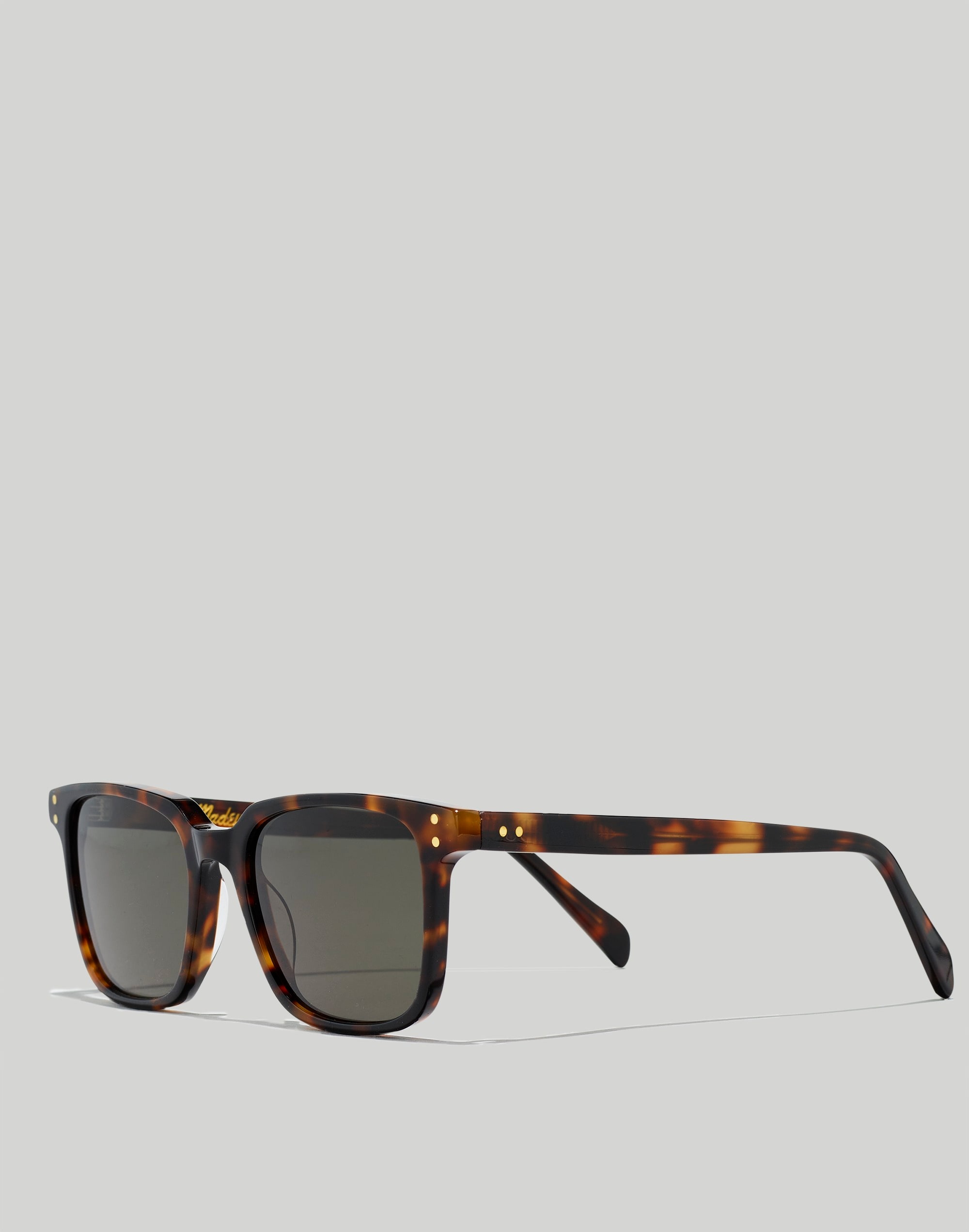 Ridgepoint Sunglasses | Madewell