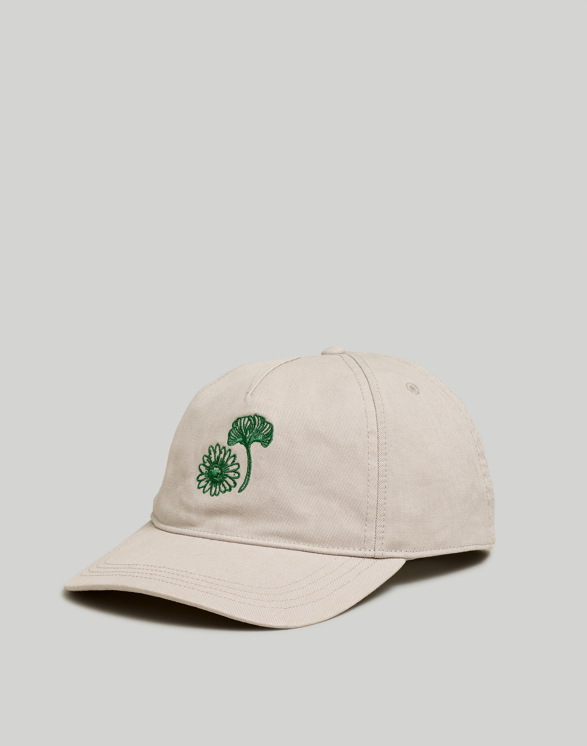 Embroidered Snapback Baseball Cap | Madewell