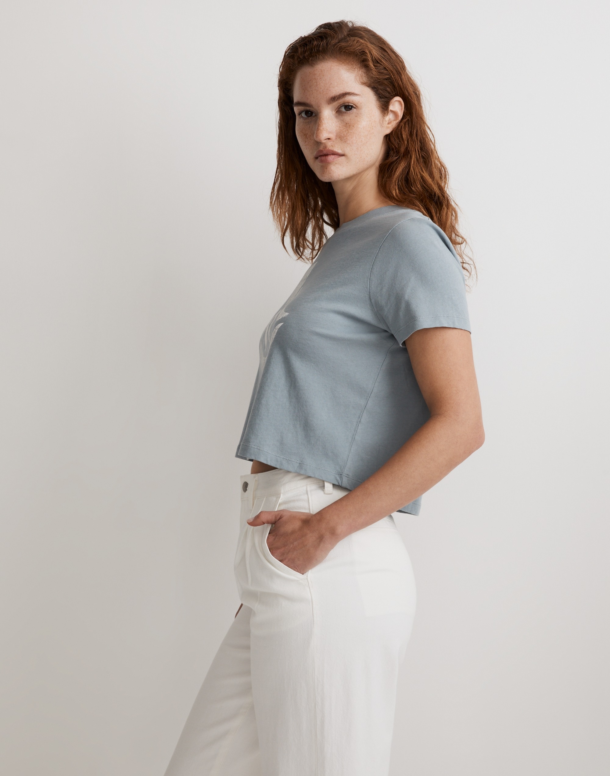 Fruit Bowl Graphic Softfade Cotton Boxy-Crop Tee | Madewell