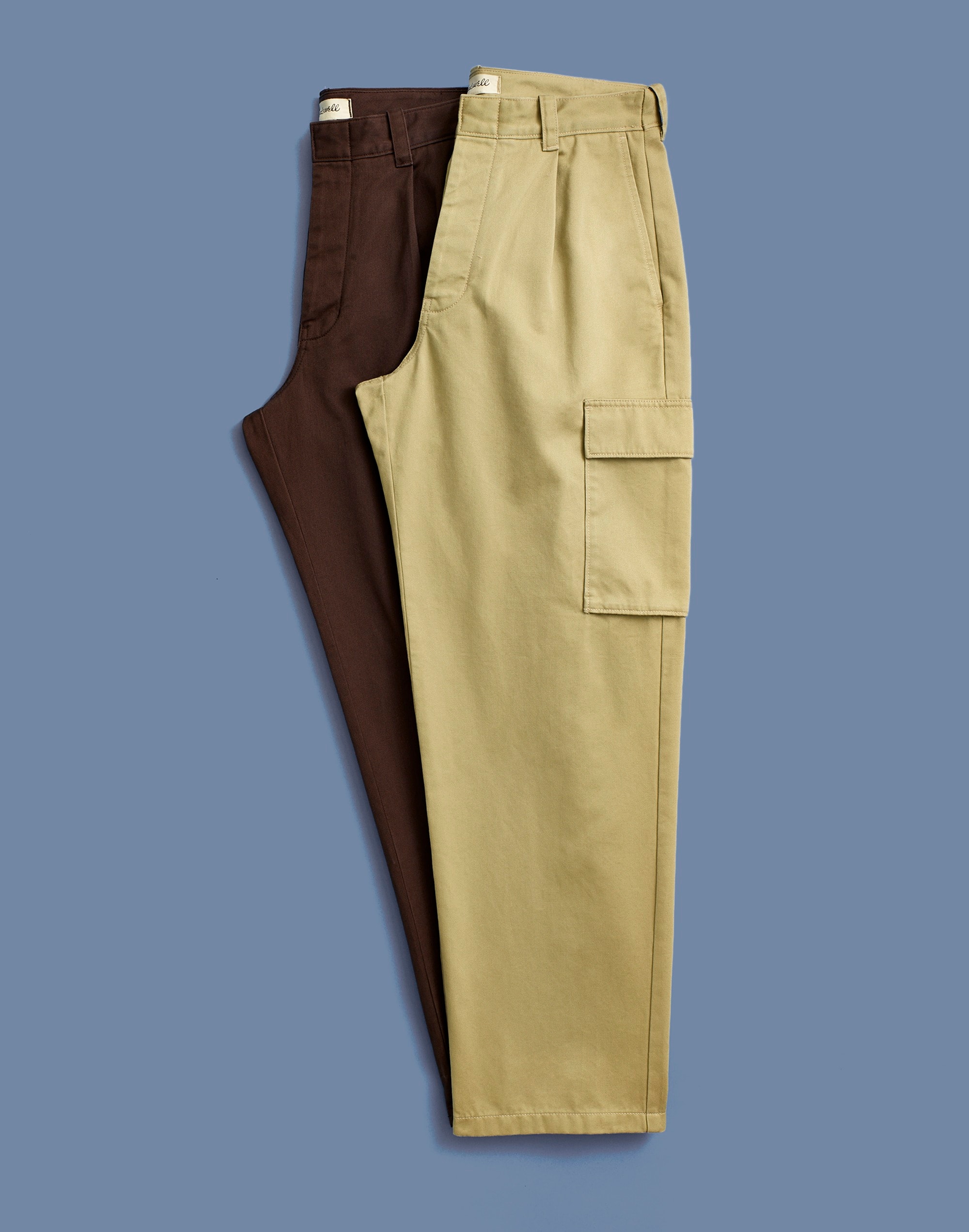 Pleated Cargo Pants | Madewell