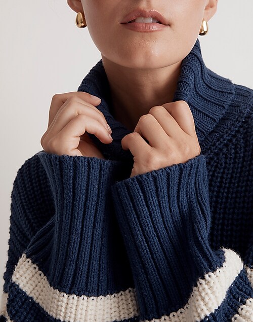 Sweater in Turtleneck Rib Wide Stripe