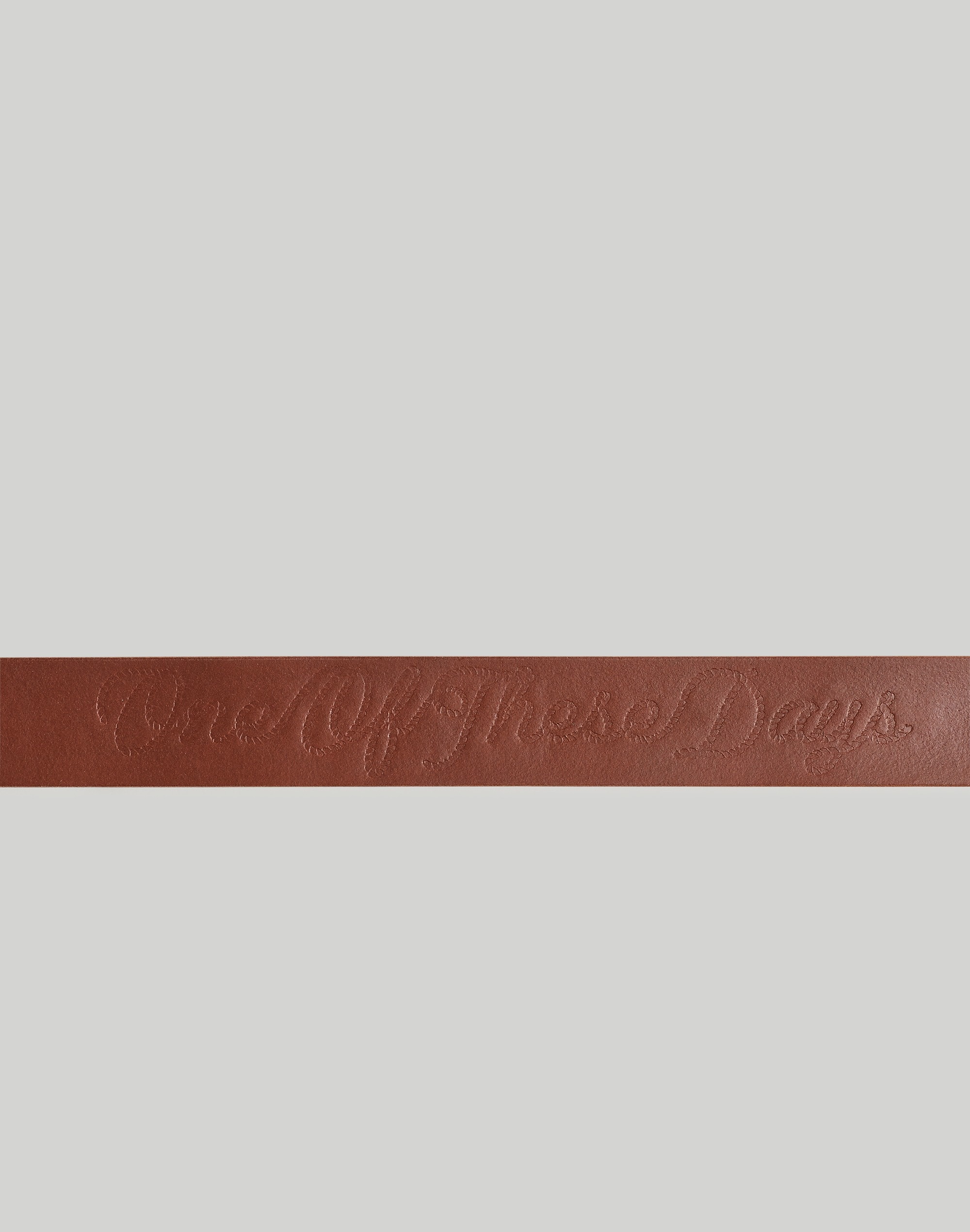 Madewell by One of These Days Leather Belt | Madewell