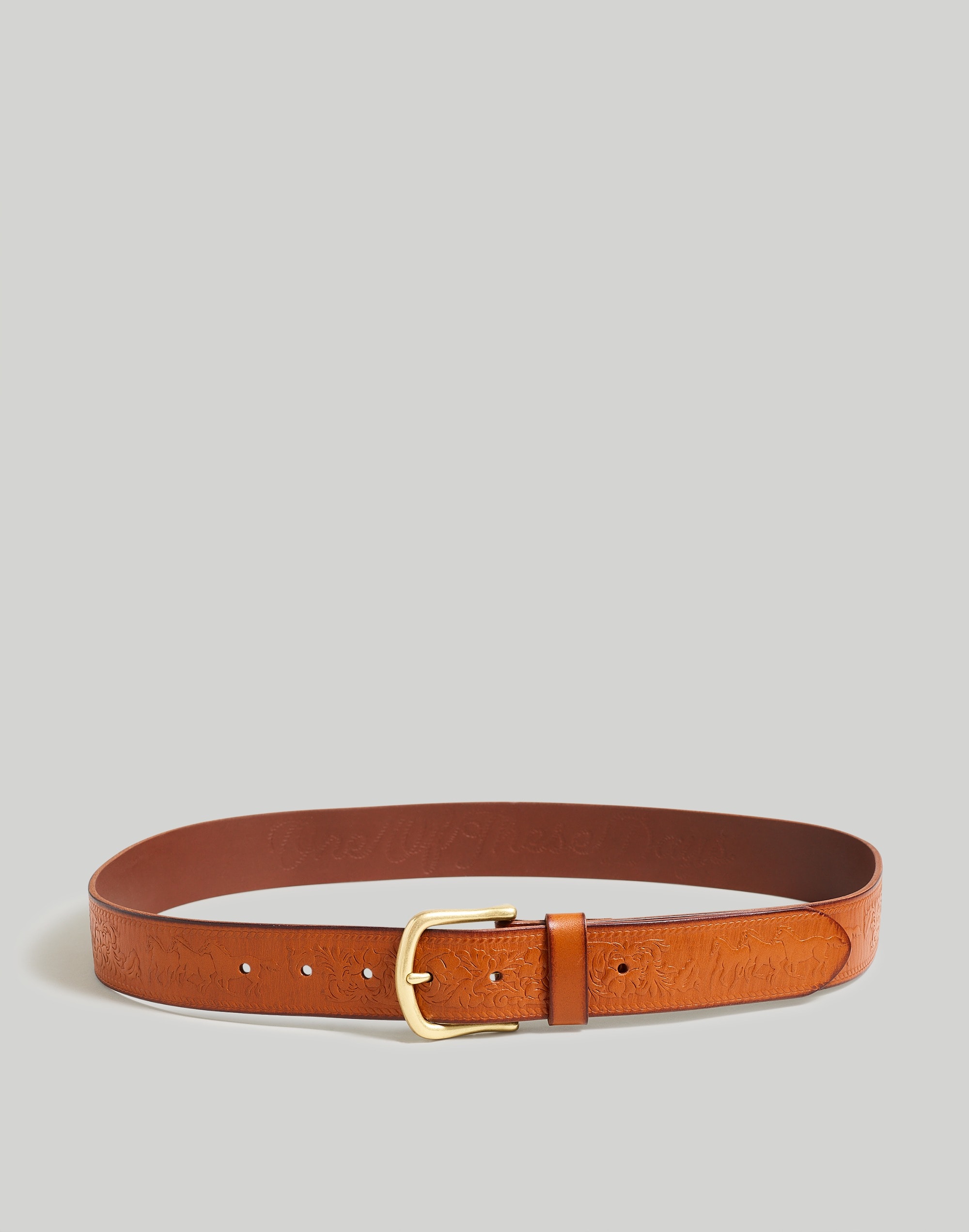 Madewell by One of These Days Leather Belt |