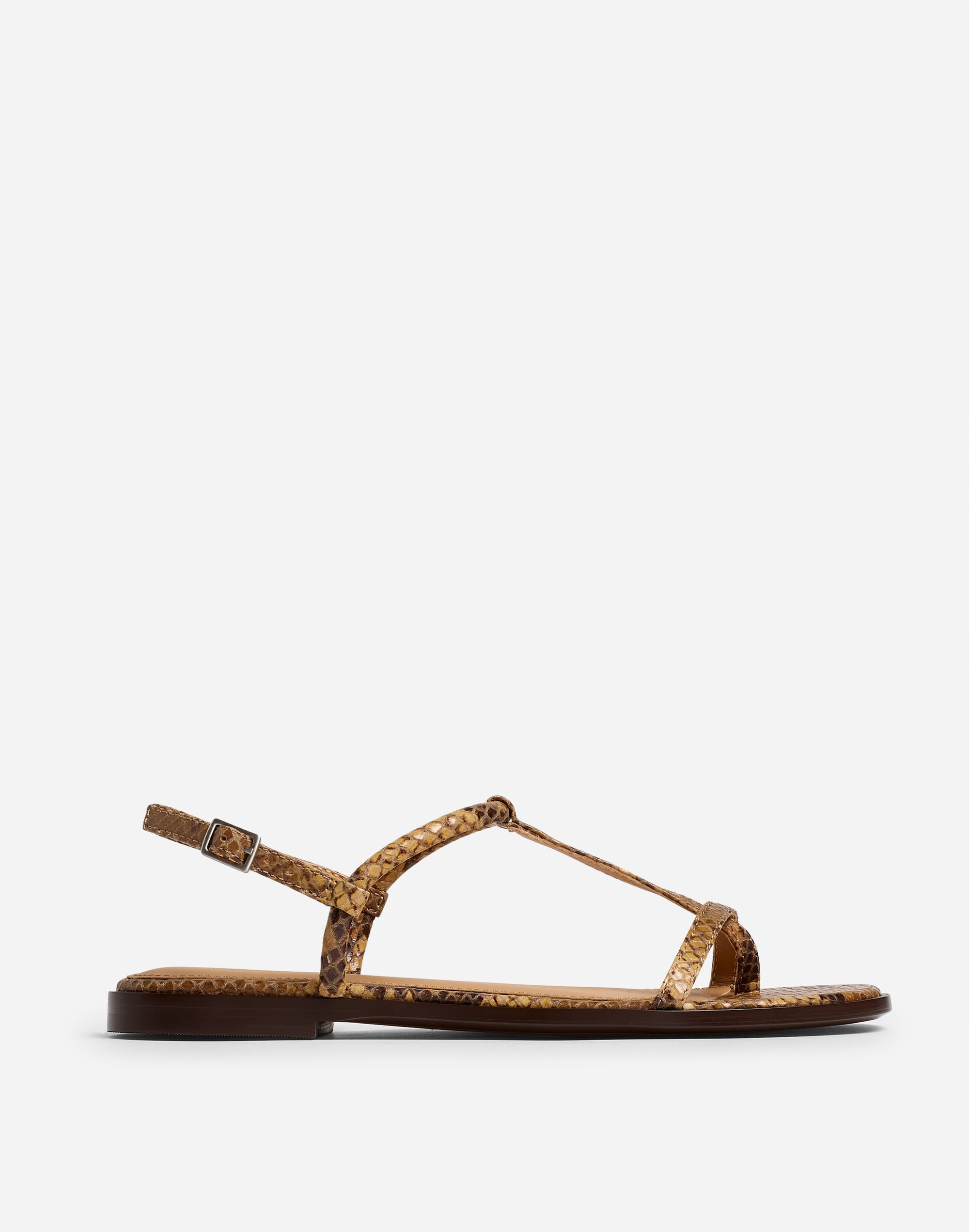 The Bev T-Strap Thong Sandal | Madewell