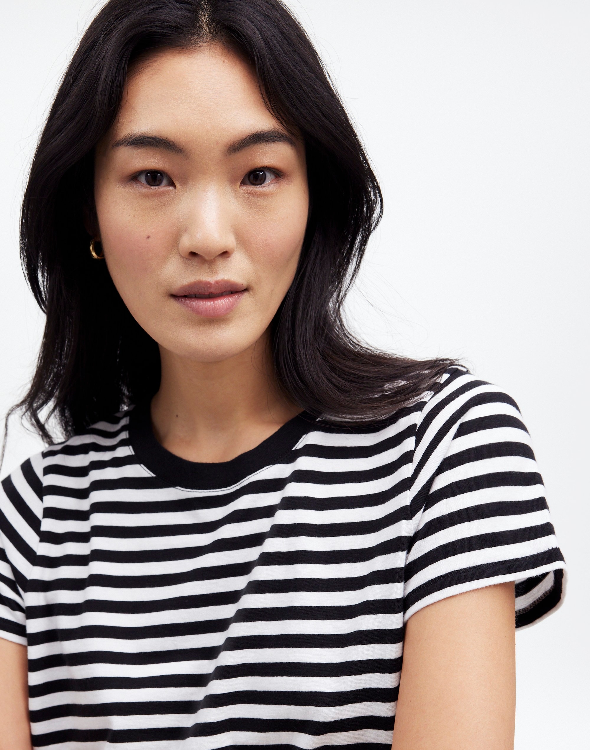 Northside Vintage Tee Stripe | Madewell