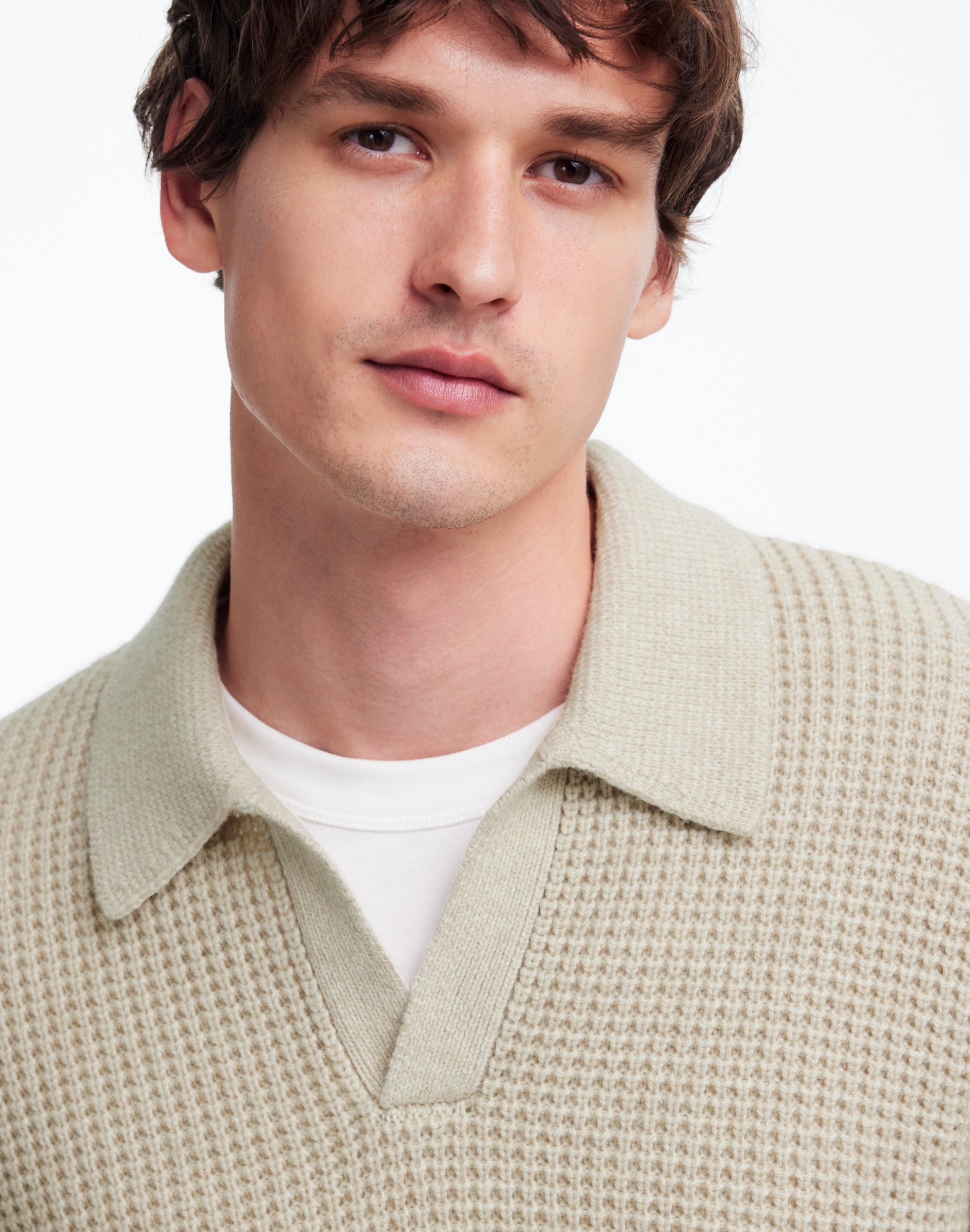 Johnny-Collar Sweater Polo Shirt Waffle Knit | Madewell