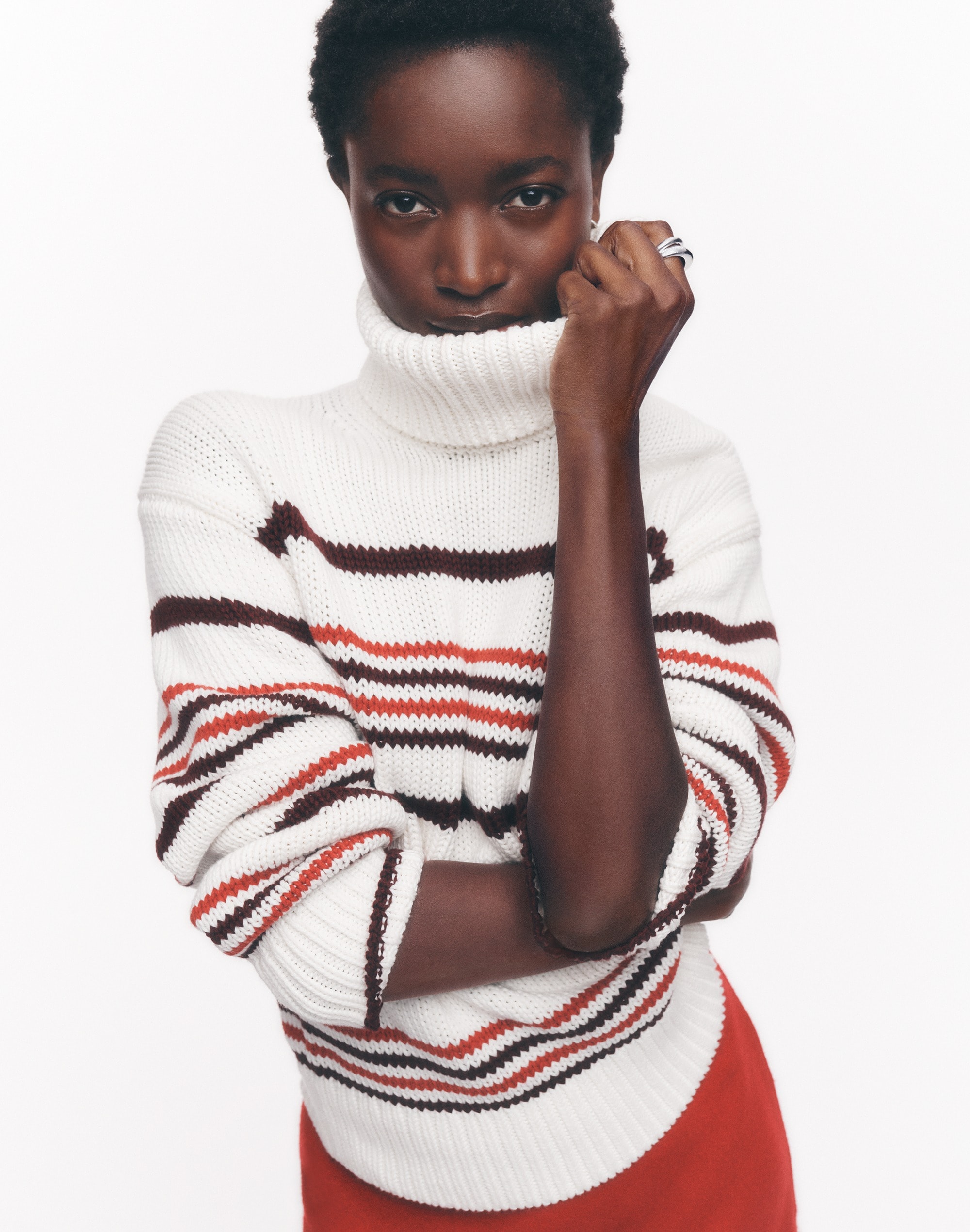 Ribbed Cotton Turtleneck Sweater in Stripe